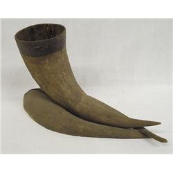 Buffalo Horn Desk Top Pencil Tool Holder