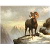 Image 2 : Joe Abbrescia, oil on board