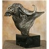 Image 1 : Dennis Anderson, stainless