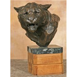 Dennis Anderson, bronze