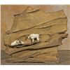 Image 1 : John Louis Clark, cast iron on rock
