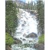 Image 2 : Lanny Grant, oil on board