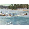 Image 2 : Jim Wilcox, oil on canvas