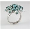 Image 1 : 40.90CTW Flower Blue Zircon Cluster Silver Ring