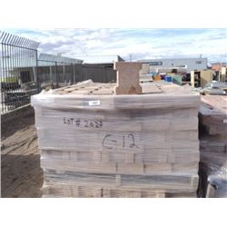 Pallet: Landscape Pavers 2X THE MONEY
