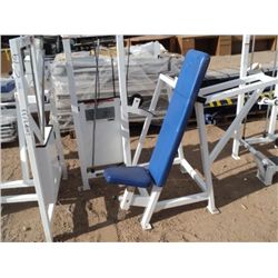 Cybex Shoulder Press (print sequence:) E008