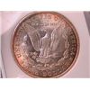 Image 2 : 1904-O Morgan Dollar MS63 NGC