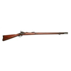 ET0503120017 Springfield - 1873 - .45-70 - rifle