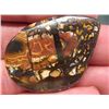 Image 1 : 69.30Cts BOULDER OPAL mwf2261