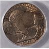 Image 3 : 1913 D BUFFALO NICKEL T2 PCGS MS 62 LOOKS HIGHER GRADE!