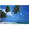 Image 1 : BEAUTIFUL AND PEACEFUL TROPICAL BEACH IMAGE