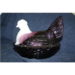 Amethyst Hen on Nest