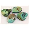 Image 1 : Natural Turquoise 211.46ctw Loose Gemstone Lot of 5