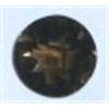 Image 1 : 2.80 CARAT SMOKY TOPAZ *BEAUTIFUL GEMSTONE*!! SMOKY TOPAZ CAME OUT OF SAFE!!