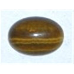 4.80 CARAT TIGER EYE GEMSTONE *MINED IN SOUTH AFRICA*!! GEMSTONE CAME OUT OF SAFE!!