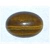 4.80 CARAT TIGER EYE GEMSTONE *MINED IN SOUTH AFRICA*!! GEMSTONE CAME OUT OF SAFE!!
