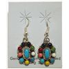 Image 1 : Navajo Multi-Stone Sterling Silver French Hook Earrings - Renee Williams