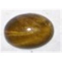 5.35 CARAT TIGER EYE *MINED IN SOUTH AFRICA!! GEMSTONE CAME OUT OF SAFE!!