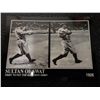 Image 1 : BABE RUTH/CARD SULTAN OF SWAT