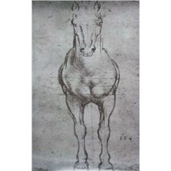 Horse sketch