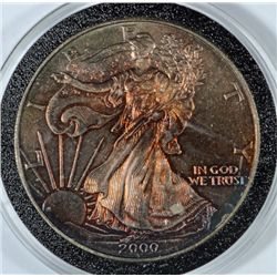 2000  US silver Eagle