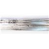 Image 6 : AN OTTOMAN KARABELA SABER
