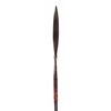Image 1 : AN IGOROT SPEAR