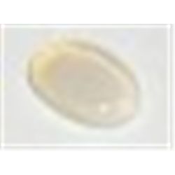 .25 CARAT AUSTRALIAN OPAL-BEAUTIFUL GEMSTONE CAME OUT OF SAFE!!