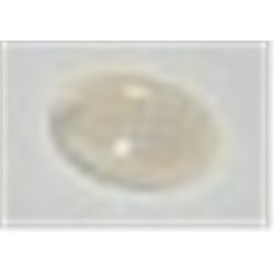 .25 CARAT AUSTRALIAN OPAL-BEAUTIFUL GEMSTONE CAME OUT OF SAFE!!