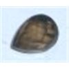 Image 1 : 1.60 CARAT BRAZILIAN SMOKY TOPAZ *MINED IN BRAZIL!! GEMSTONE CAME OUT OF SAFE!!