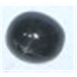 5.85 CARAT *MADAGASCAR* Large Black Star Sapphire *Beautiful polished Gemstone*!!