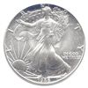 Uncirculated Silver Eagle 1988