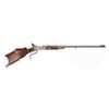 Image 1 : *R. TROSTEL MARTINI TYPE SCHUETZEN RIFLE.
