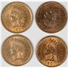 Image 1 : INDIAN CENT LOT, ALL MS-64RB AND NICE: 1901, 1904, 1905, 1908