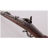 Image 4 : Springfield 1873 Trapdoor Rifle