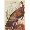 Image 1 : John James Audubon Circa 1946 WILD TURKEY