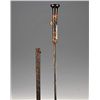 Image 1 : A Victorian sword-stick