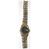 Image 1 : PULSAR WATCH!!