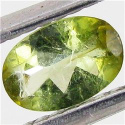0.42ct Chrome Green Tourmaline Oval (GEM-040735)