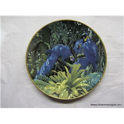 Hyacinth Macaws by Lenox