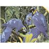 Image 2 : Hyacinth Macaws by Lenox