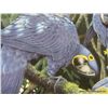 Image 3 : Hyacinth Macaws by Lenox