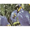Image 4 : Hyacinth Macaws by Lenox