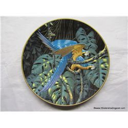 Blue & Gold Macaw Lenox