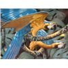 Image 2 : Blue & Gold Macaw Lenox