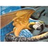 Image 3 : Blue & Gold Macaw Lenox