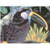 Image 5 : Cavier's Toucans by Lenox