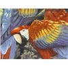 Image 4 : Scarlet Macaws by Lenox