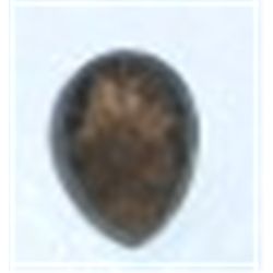 1.55 CARAT SMOKEY TOPAZ BEAUTIFUL STONE *MINED IN COLORADO*!! GEMSTONE CAME OUT OF SAFE BOX!!