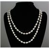 Image 1 : 454.9CTW 46" WHITE LONGSTRAND FRESHWATER PEARL NECKLACE